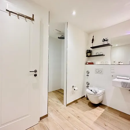 Strandmoewe In Der Sofie *