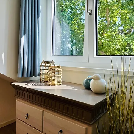 Strandmoewe In Der Sofie * Binz