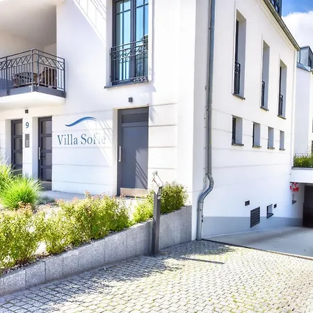 Strandmoewe In Der Sofie *