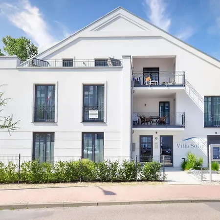 Strandmoewe In Der Sofie *